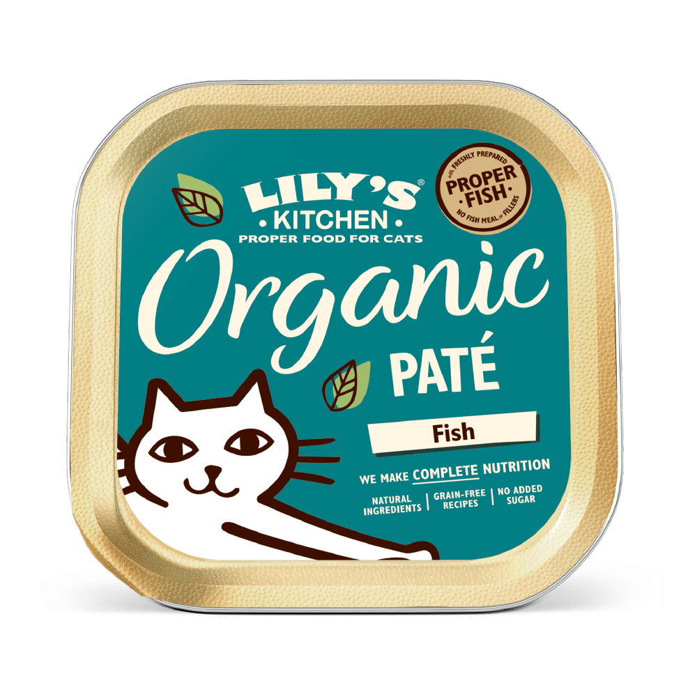 Lily’s Kitchen ökoloogiline täistoit kassidele kalaga 85g (19)